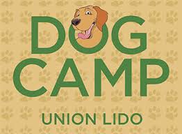 dog camp