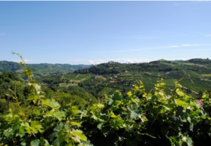PiemonteBike: percorsi geomappati, naturalistici e golosi